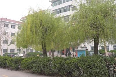 高鐵乘務(wù)專(zhuān)業(yè)，男生學(xué)習(xí)怎么樣？   