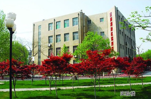 淄博市工業(yè)學(xué)校開設(shè)哪些計算機(jī)課程？
