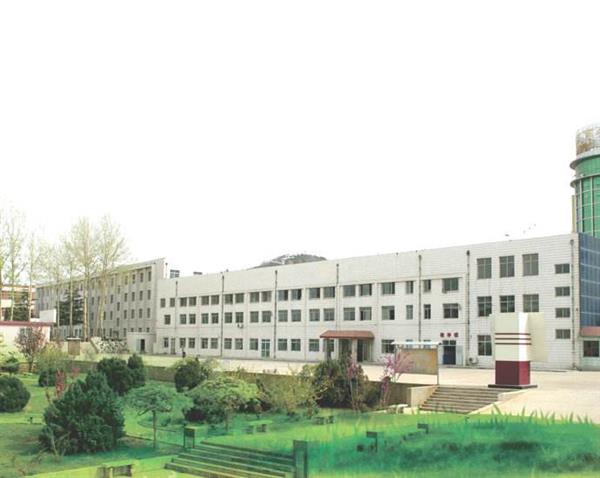 山東哪所學校能報考春季高考？