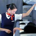 航空服務(wù)（票務(wù)、安檢方向）、航空乘務(wù)定向委培